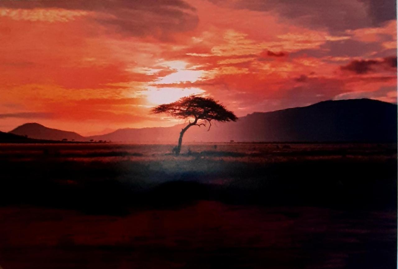 Serengeti Nap Comfy Rooms シダリオン エクステリア 写真