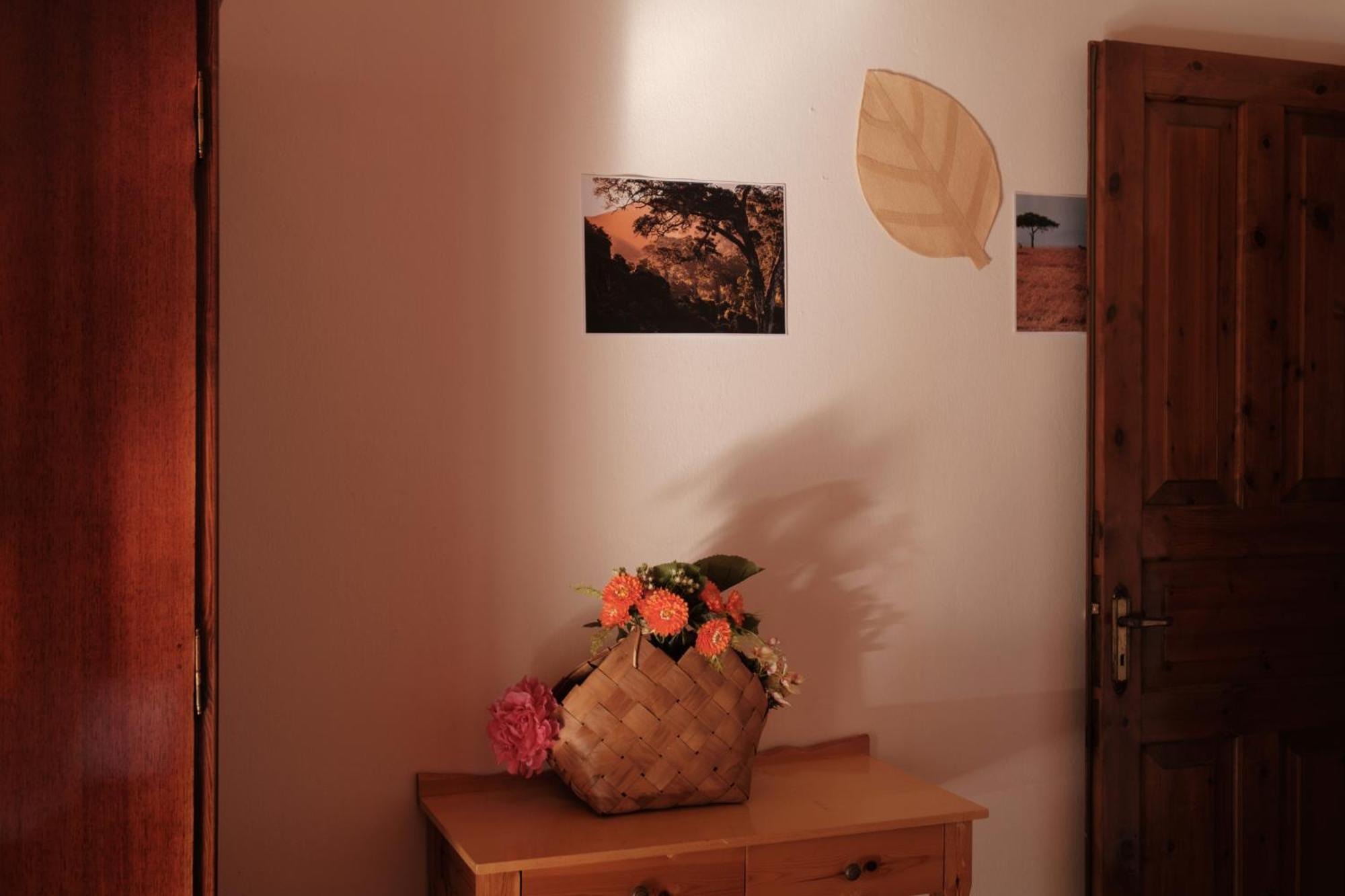 Serengeti Nap Comfy Rooms シダリオン 部屋 写真